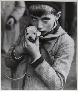 Appraisal: Photograph Andre Kertesz Andre Kertesz American Hungarian - The Puppy