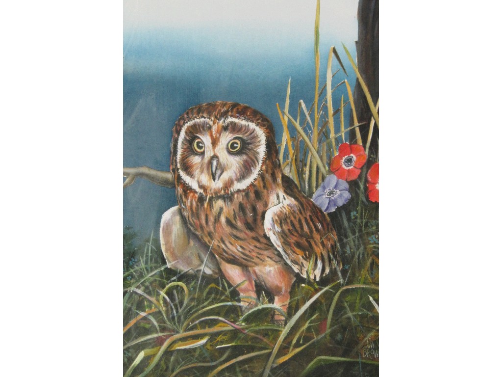 Appraisal: JIM BROWN Watercolour with body colour 'Owl' signed x