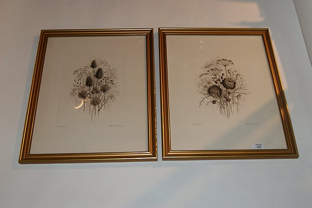 Appraisal: Kathleen Caddick British b A pair of botanical studies each