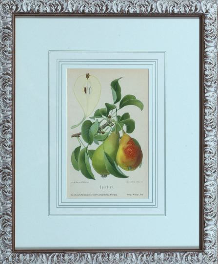 Appraisal: German School Late th Century Fruiting Botanicals suite of eight