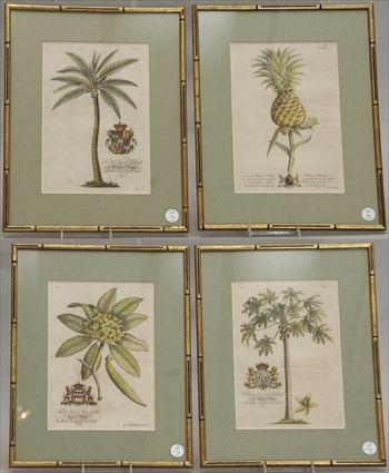 Appraisal: Group of Four Colored Prints of Tropical Botanicals Provenance from