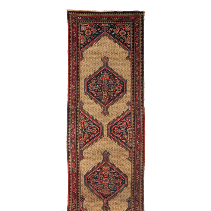 Appraisal: Persian Sarab runner c floral design on a tan field