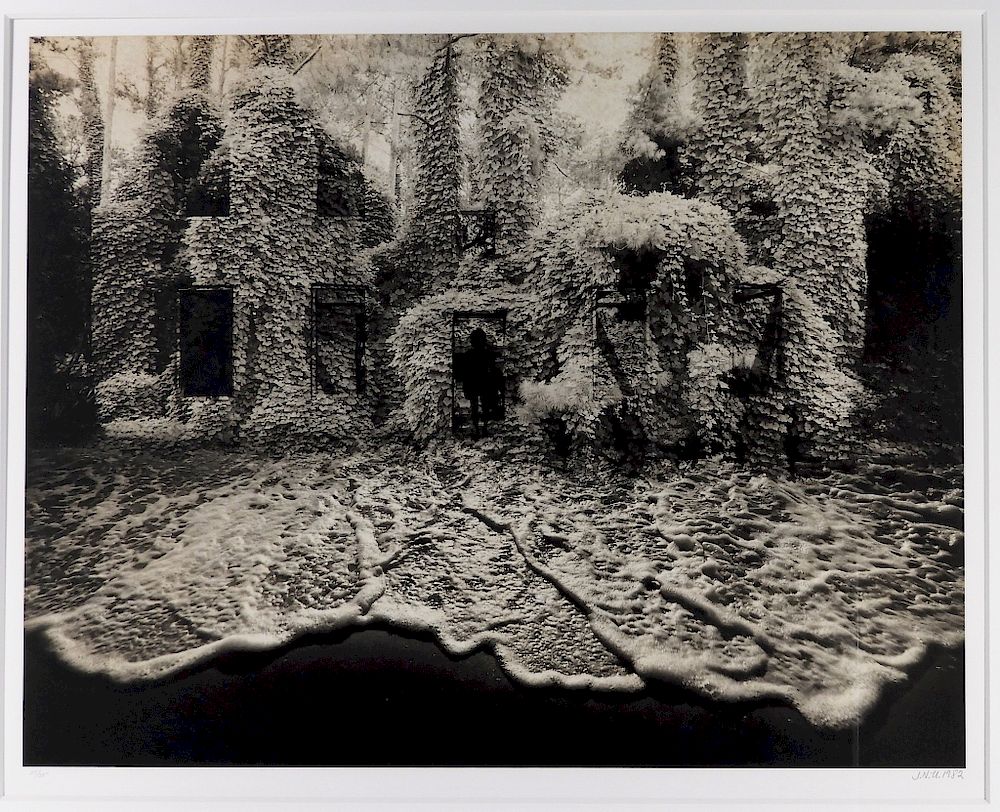 Appraisal: Jerry Uelsmann Platinum Portfolio Kudzu Photograph Michigan b Kudzu from