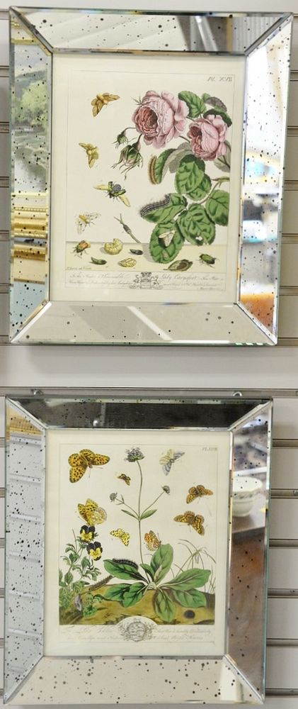 Appraisal: Set of four mirrored framed botanical prints x Set of