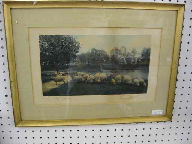 Appraisal: Wallance Nutting Print ''A Warm Spring Day'' flock of sheep