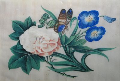 Appraisal: A set of eight Chinese rice paper paintings of colourful