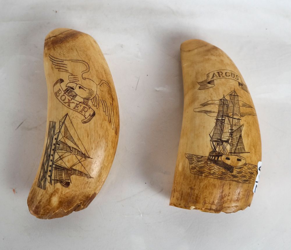 Appraisal: Two Scrimshaw Tooth Carvings - Boxer Argus Boxer engraved with