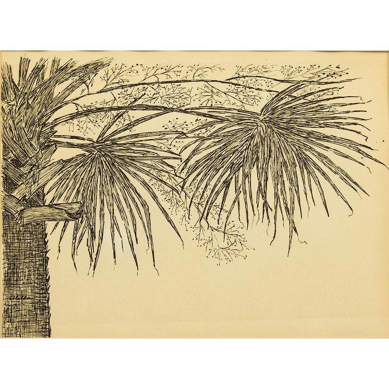 Appraisal: Drawing Framed pen and ink drawing of a palm tree