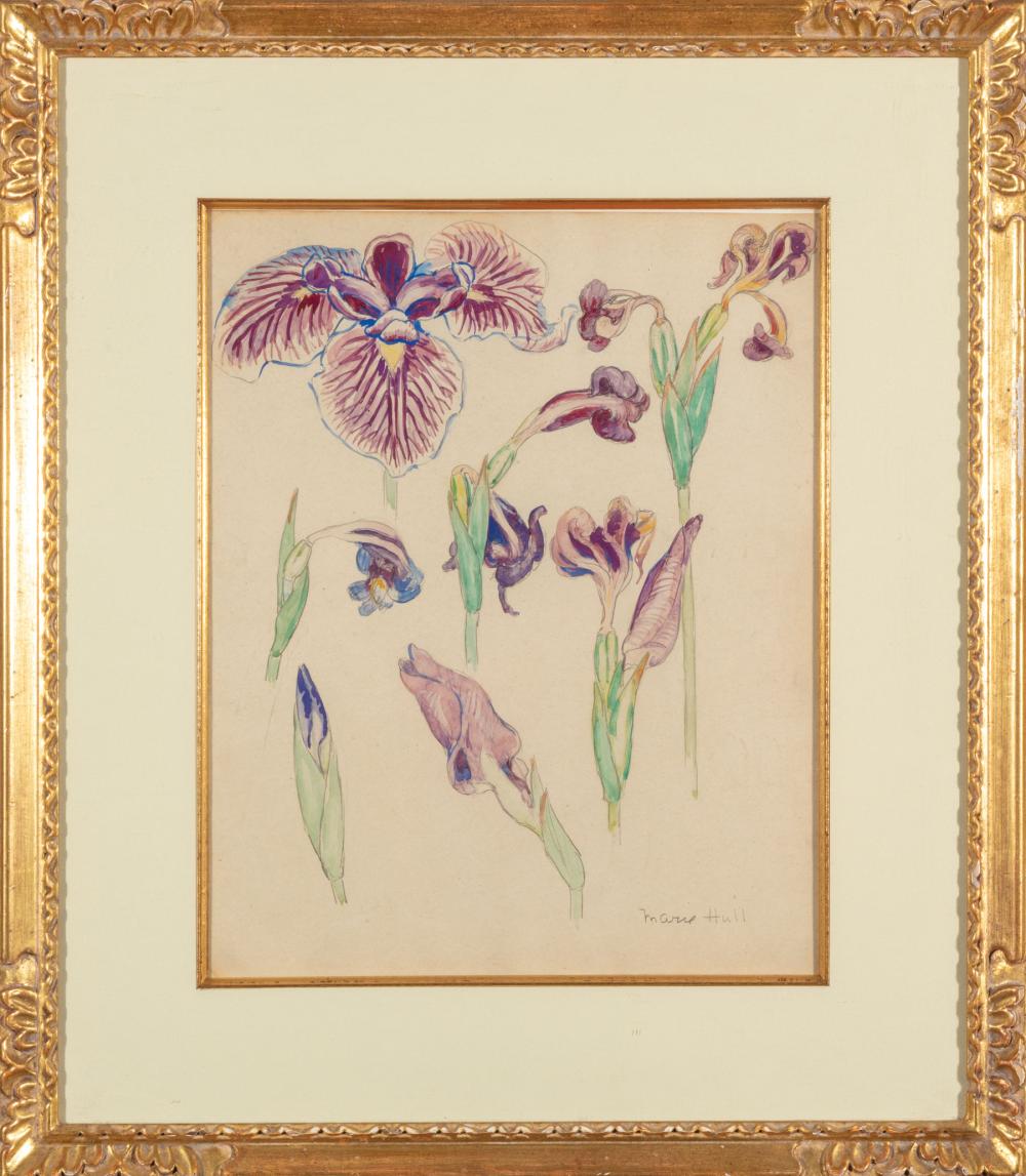 Appraisal: Marie Atkinson Hull American Mississippi - Irises watercolor and graphite