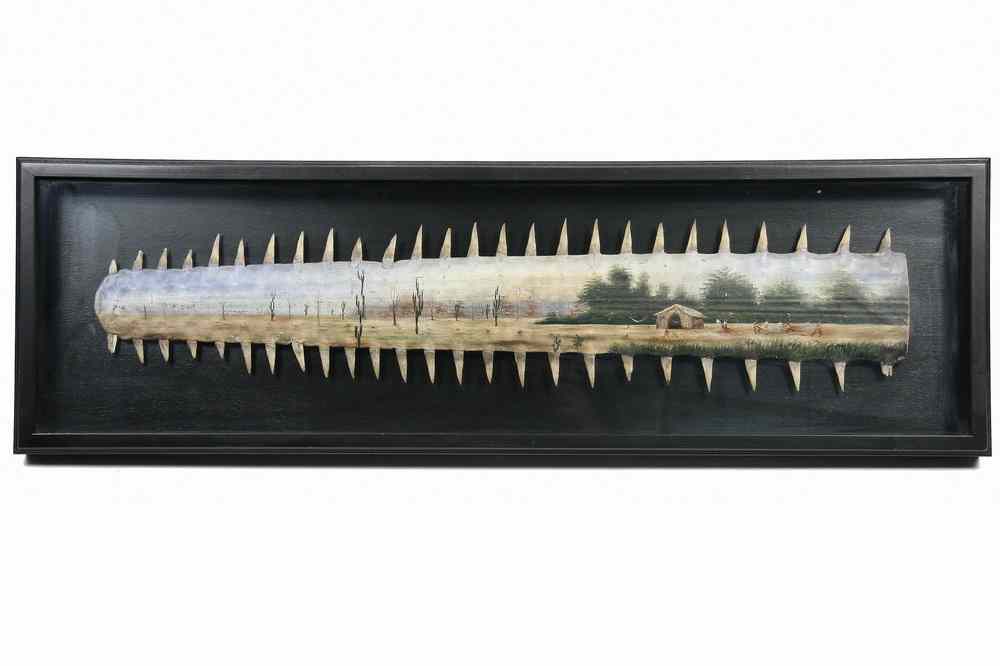 Appraisal: CASED PAINTED SAWFISH BILL - Cased Folk Art Painted Sawfish