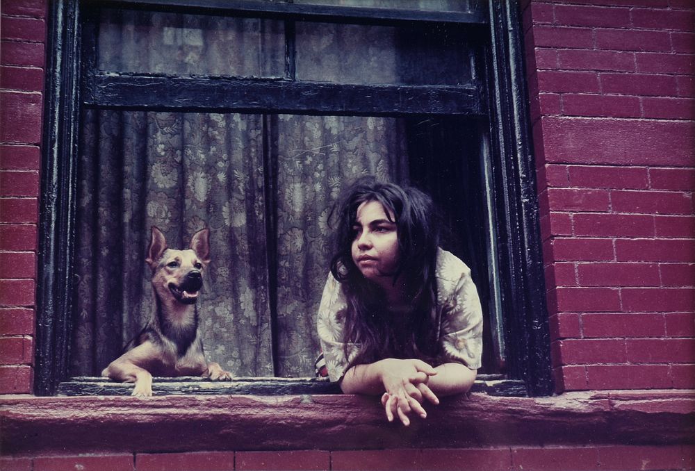 Appraisal: HELEN LEVITT American - A PHOTOGARPH Girl Dog at Windsor