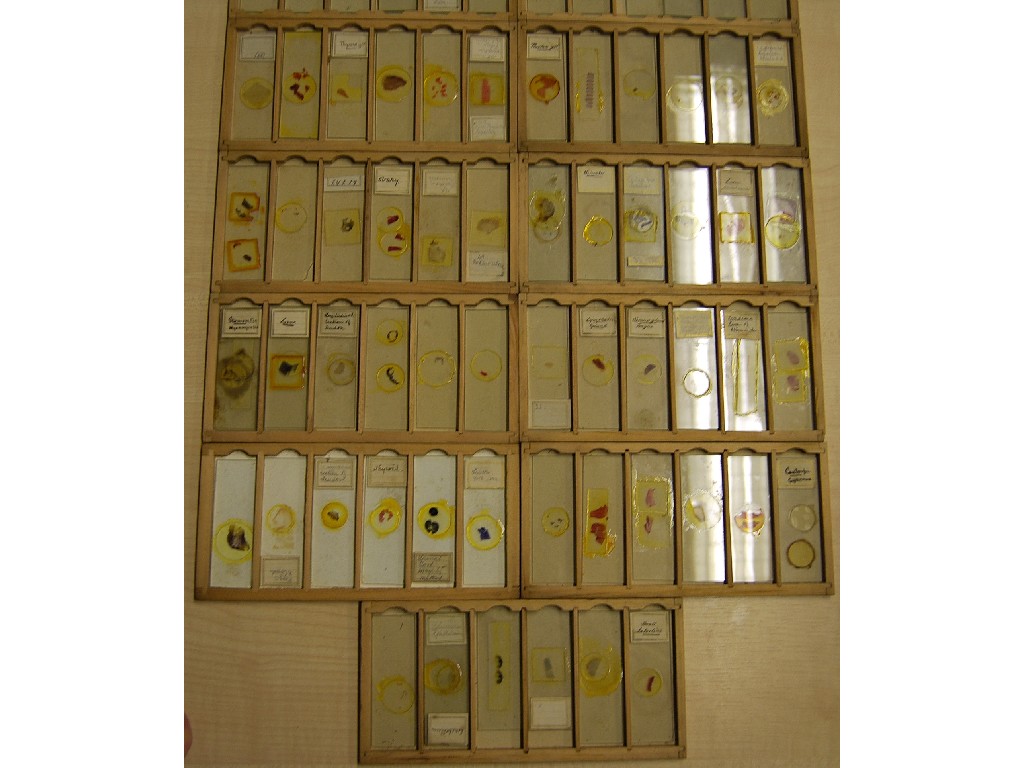 Appraisal: A walnut microscope slide box containing over eighty Victorian and