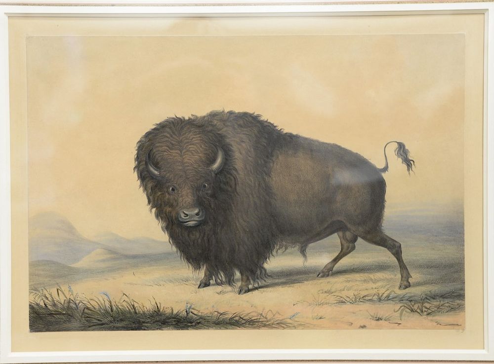 Appraisal: George Catlin - hand colored lithograph laid on paper North