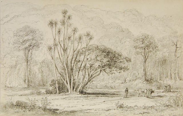 Appraisal: William Swainson British New Zealander - Banks of the Hutt