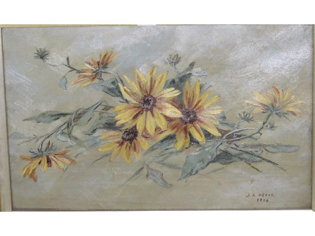 Appraisal: Oil on canvas flower study signed J A Munro