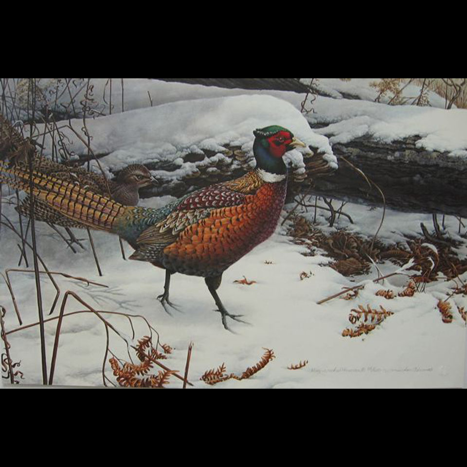 Appraisal: MICHAEL DUMAS - CANADIAN NOVEMBER MEADOW - RING NECKED PHEASANTS