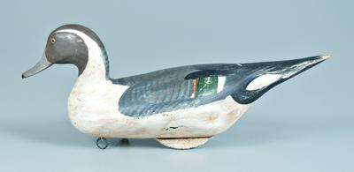 Appraisal: Pintail duck decoy slightly turned head - in Old possibly