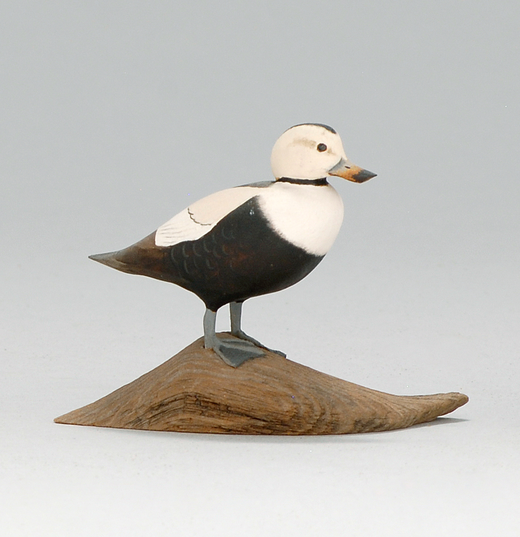 Appraisal: MINIATURE LABRADOR DUCK By Harold Gibbs of Barrington Rhode Island