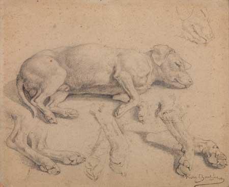 Appraisal: ROSA BONHEUR French - Studies of a Sleeping Dog Pencil