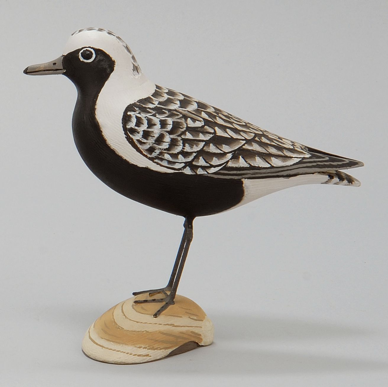 Appraisal: LIFE-SIZE BLACK-BELLIED PLOVER By James Lapham of Dennisport Massachusetts In