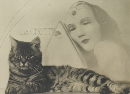 Appraisal: MORTENSEN WILLIAM - La Chatte Silver print x inches x