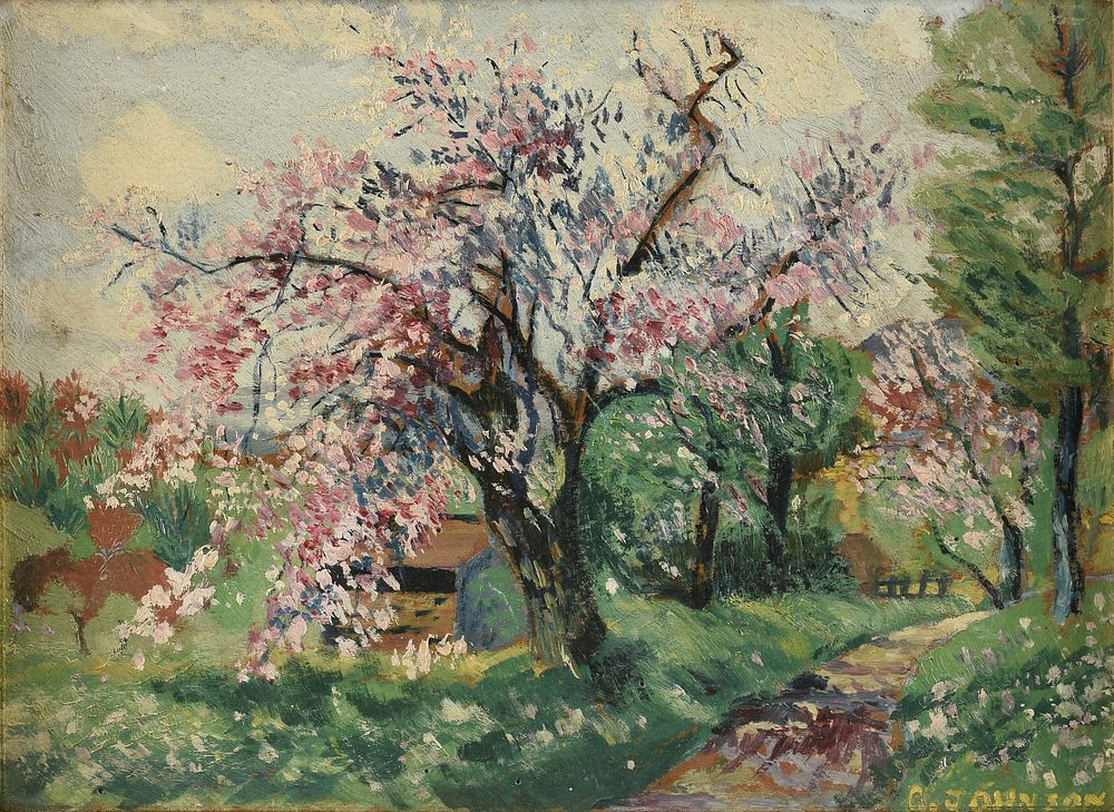 Appraisal: CLARENCE JOHNSON American - A PAINTING Pink Blossoming Tree by