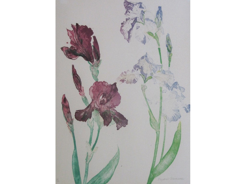 Appraisal: ELIZABETH BLACKADDER RA RSA RSW RGI b Lithograph in colours