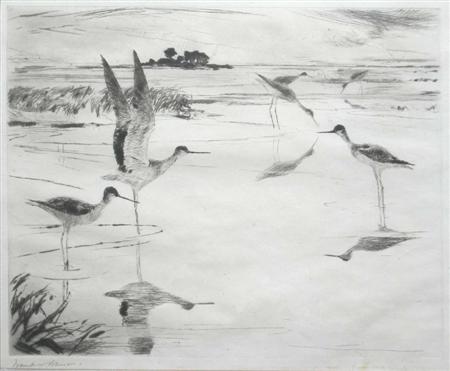 Appraisal: FRANK WESTON BENSON AMERICAN - YELLOW LEGS NO Etching signed