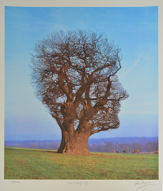 Appraisal: Storm Thorgerson British - 'True of Half Life'Aritst's Proof signed