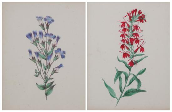 Appraisal: AFTER MRS C M BADGER English th century Wildflowers Six