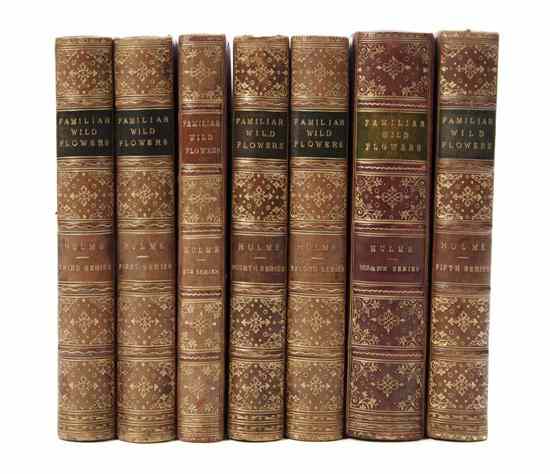 Appraisal: HULME FREDERICK EDWARD Familiar Wild Flowers London n d volumes