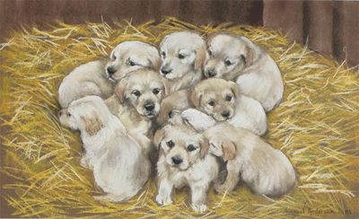 Appraisal: Margaret Anderson A R M S - Retriever puppies in