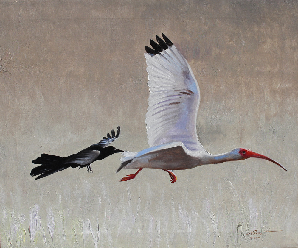 Appraisal: RUST Don American - Crow Chasing an Ibis Oil Canvas