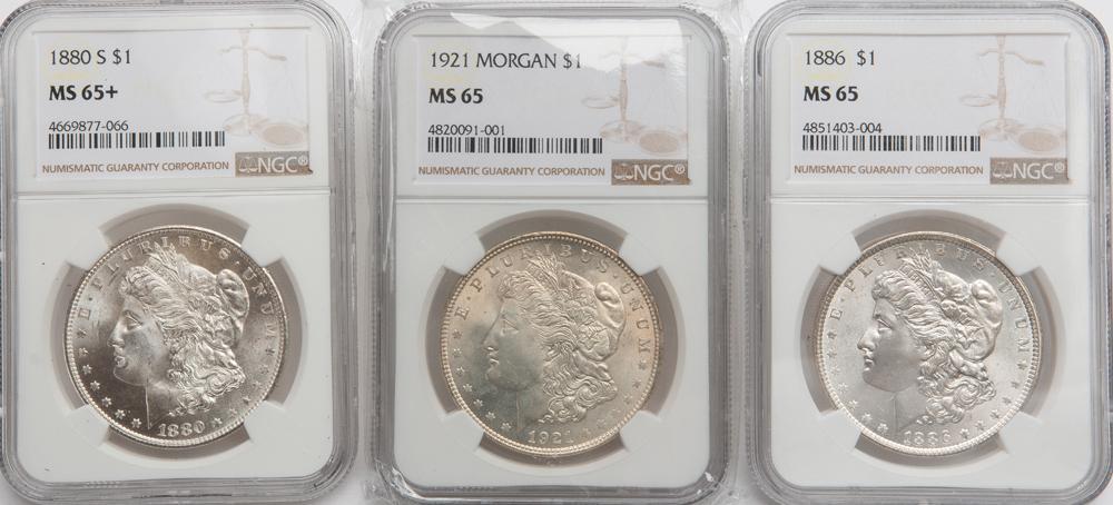 Appraisal: NGC GRADED MORGANS -S MS Three Morgan silver dollars each