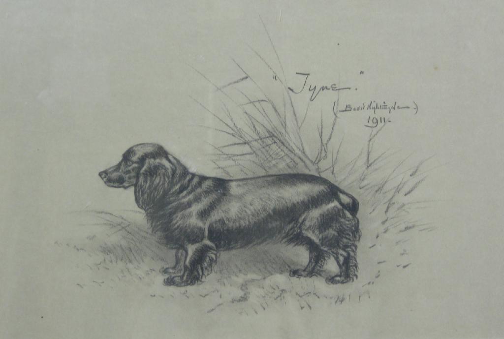 Appraisal: BASIL NIGHTINGALE Study of a Dog named 'Tyne' signed inscribed