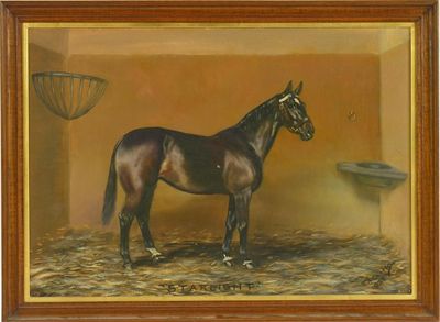 Appraisal: G A Cattley 'Starlight' portrait of a horse in a