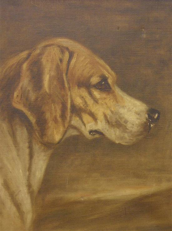 Appraisal: Oil on canvas study of a hound unsigned h w