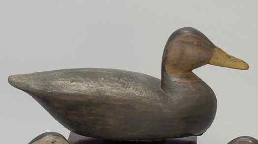 Appraisal: HOLLOW-CARVED BLACK DUCK DECOYBy Henry Kilpatrick Ex Collection John Hillman