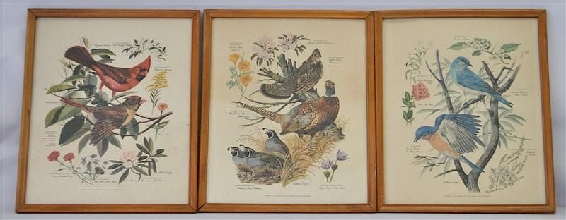 Appraisal: ARTHUR SINGER BIRD LITHOGRAPHS Three Framed Vintage Lithographic Prints by