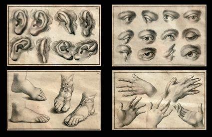 Appraisal: SET OF FOUR ANATOMICAL ENGRAVINGS Various studies showing eyes ears