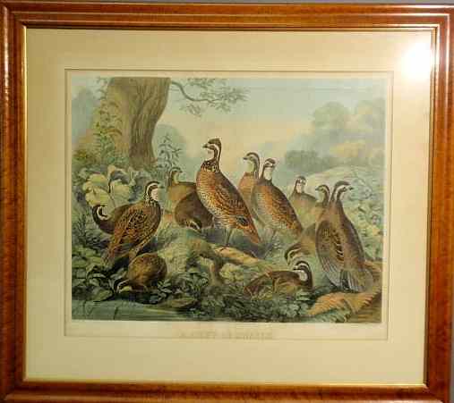 Appraisal: Maple framed lithograph A Bevy of Quails Sarony Major Knapp