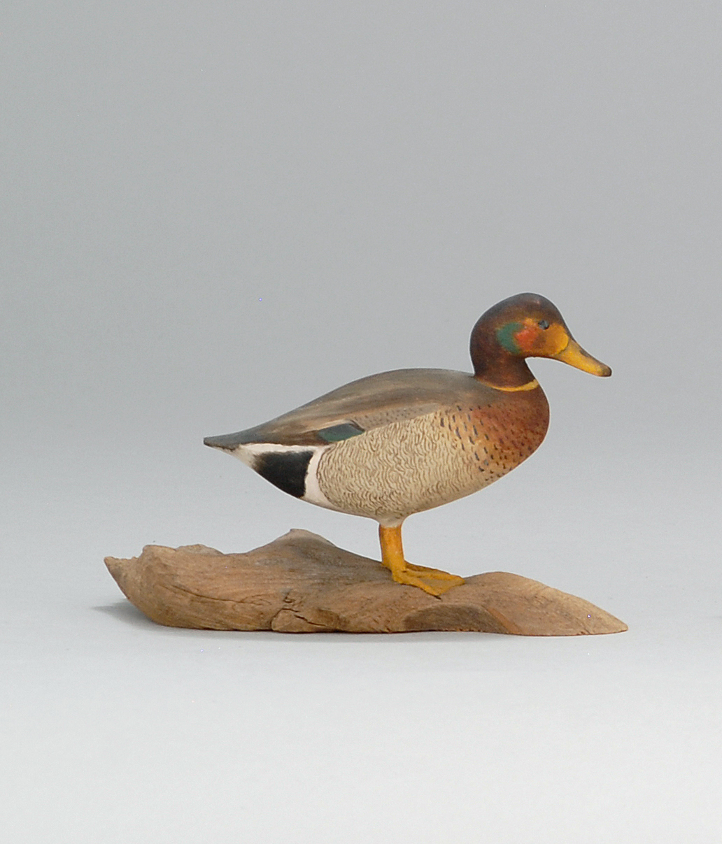 Appraisal: UNUSUAL MINIATURE MALLARD-GADWALL HYBRID By Harold Gibbs of Barrington Rhode