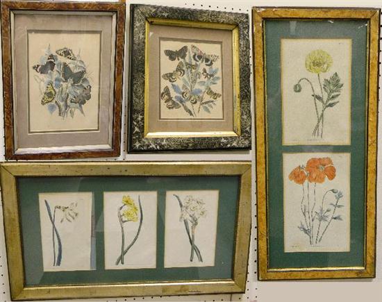 Appraisal: Four framed prints two framed botanical prints two prints depicting