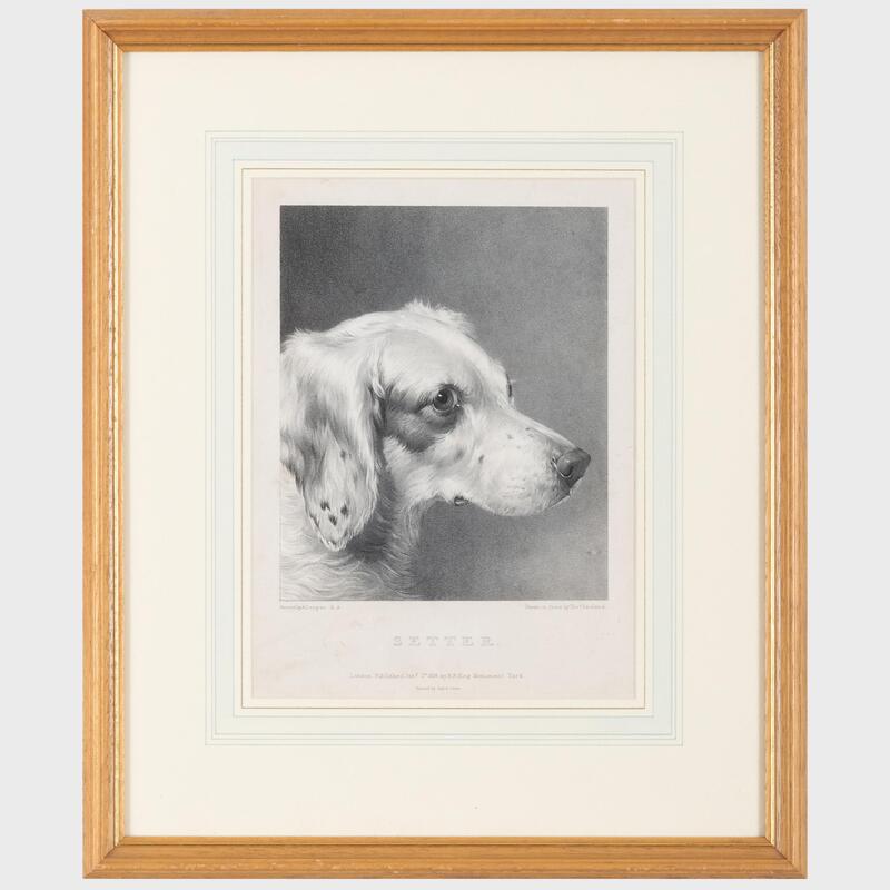 Appraisal: After Abraham Cooper - Setter and Greyhound Two lithographs in