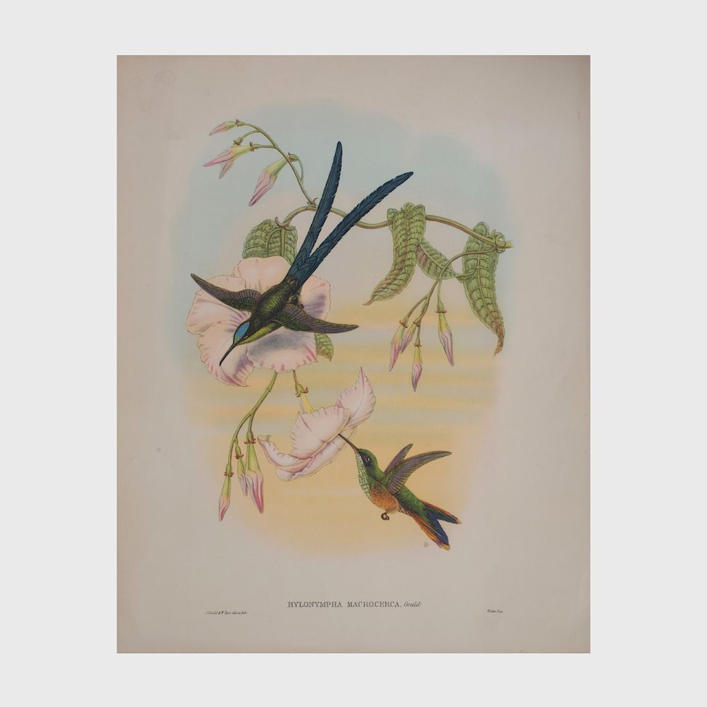 Appraisal: After John Gould - Humming Birds Six Plates Six photomechanical