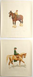 Appraisal: Cecil C W Aldin RBA England Equestrian prints depicting horses