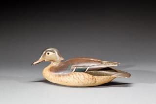 Appraisal: Exceedingly Rare Wood Duck Hen by Charles E Shang Wheeler