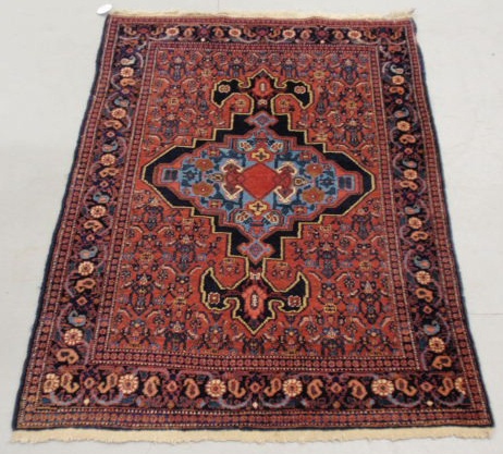 Appraisal: Persian oriental mat x