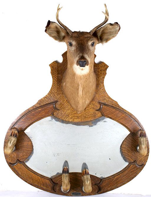 Appraisal: Vincent R Aaron Taxidermy Deer Mount Mirror Rack For your