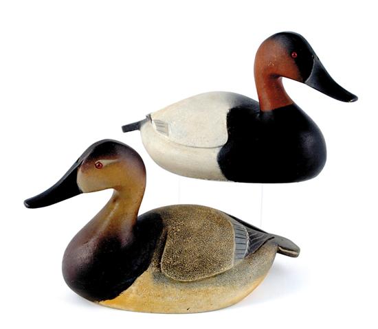 Appraisal: Canvasback hen and drake decoys Pennsylvania painted and carved wood